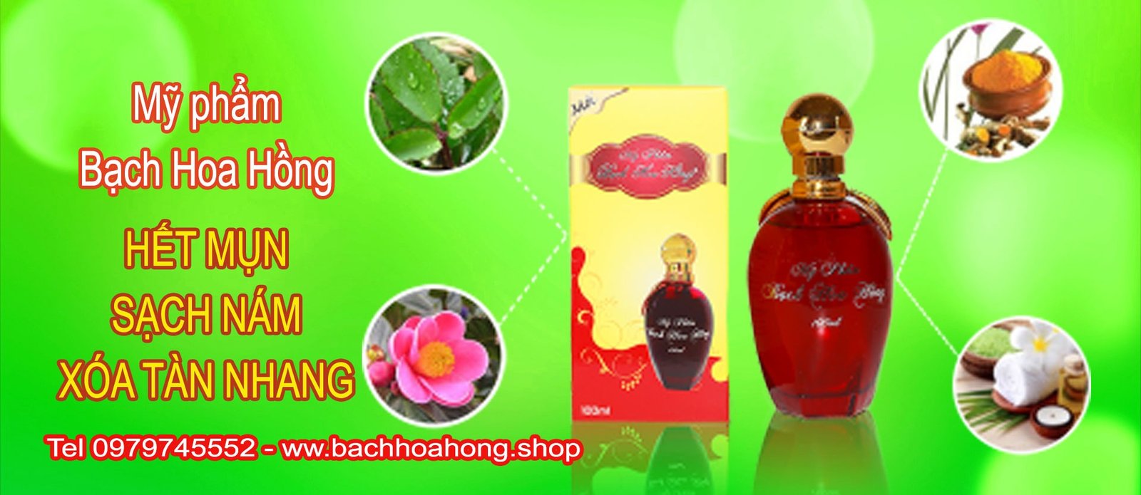 tái tạo da bạch hoa hồng