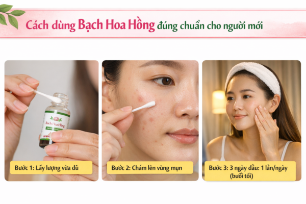 Cách dùng Bạch Hoa Hồng đúng chuẩn cho người mới bắt đầu